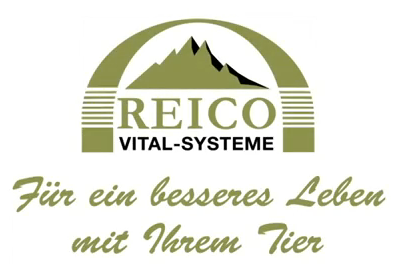 REICO Partnerin Petra Vinzing