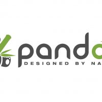 pandoo – wiederverwendbare Alltagsprodukte aus schnell wachsenden Rohstoffen