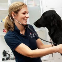 Tierarztpraxis Ullamnn / Bergstedt