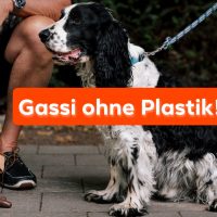 PooPick - Plastikfrei Gassi gehen